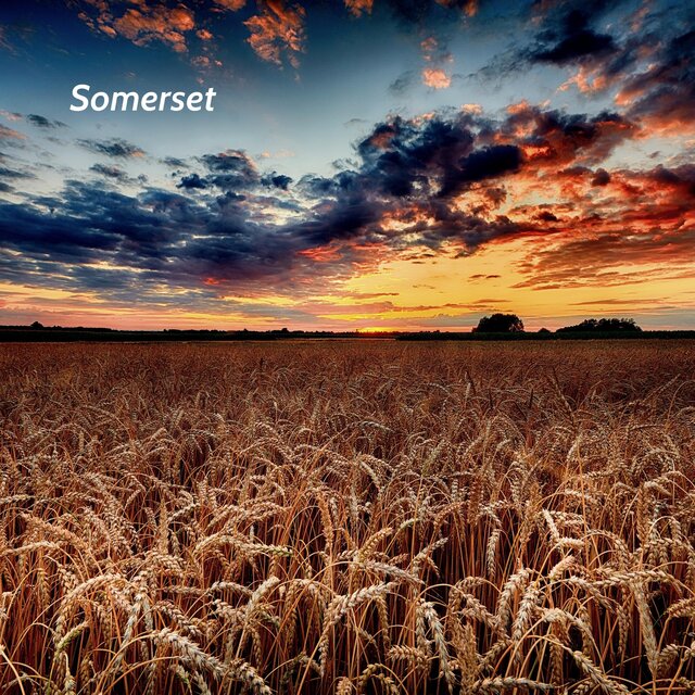 Somerset