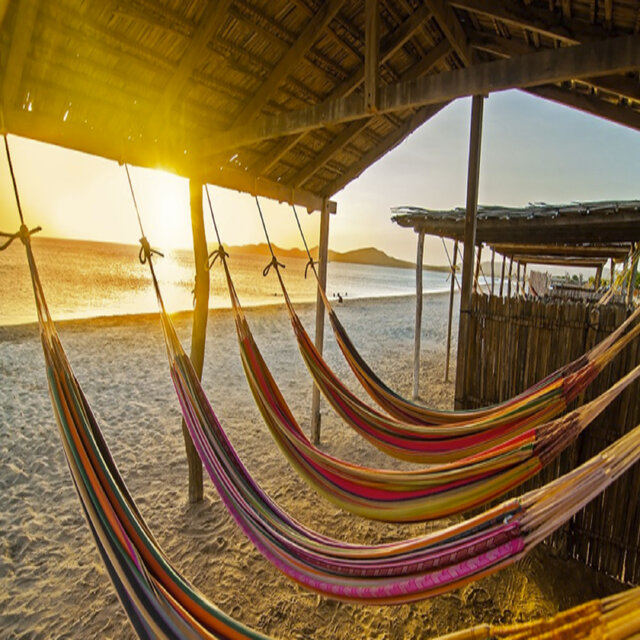 Guajira