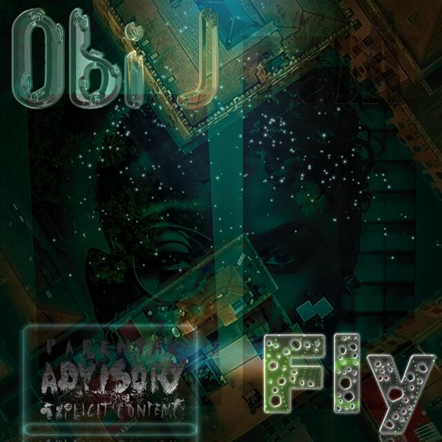 Fly