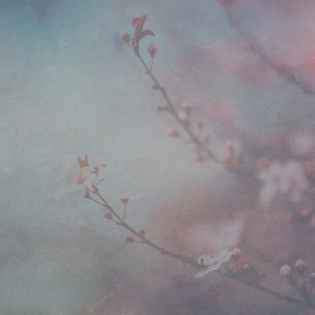 Elements