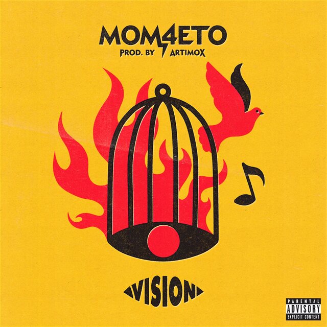VISION