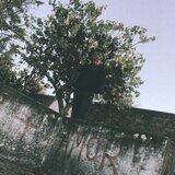 Escolhas