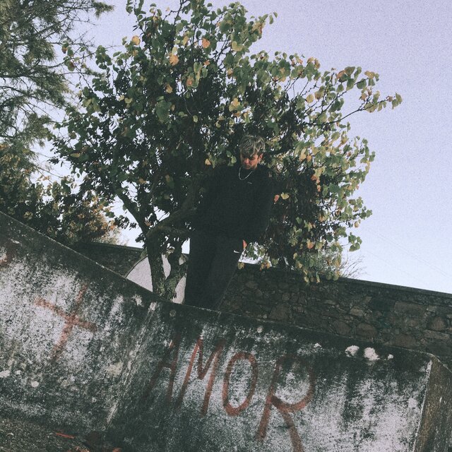 Escolhas