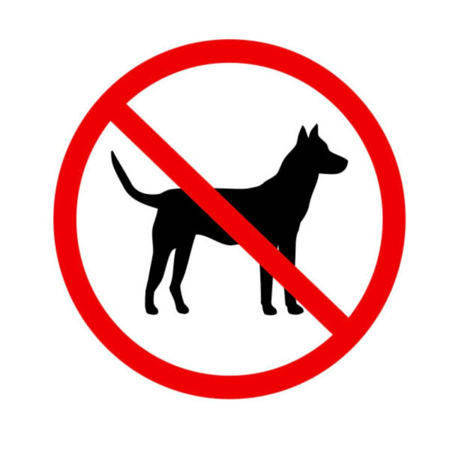 No dogs
