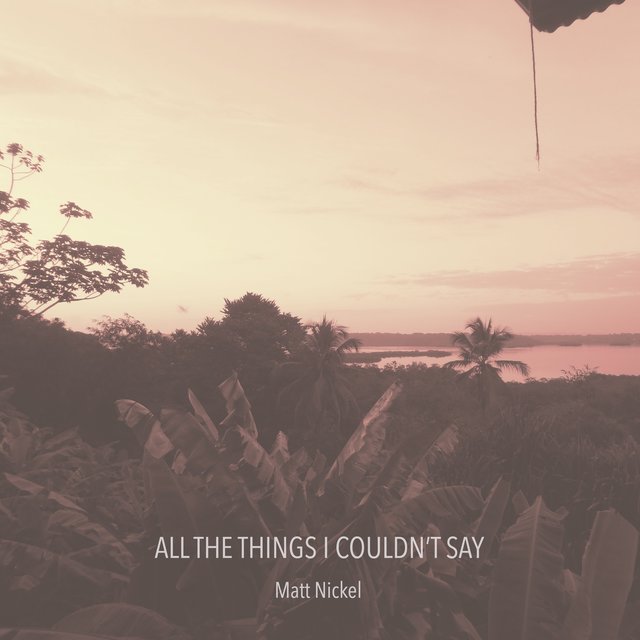 All The Things I Couldn't Say