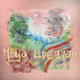 Cover art for album Canvas by Moya Brennan