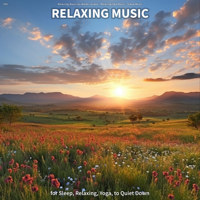 #01 Relaxing Music for Sleep, Relaxing, Yoga, to Quiet Down