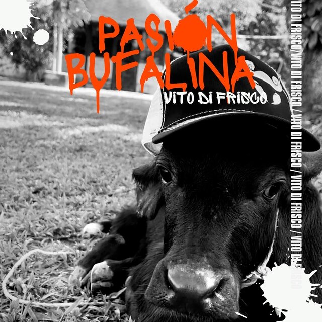 Pasión Bufalina