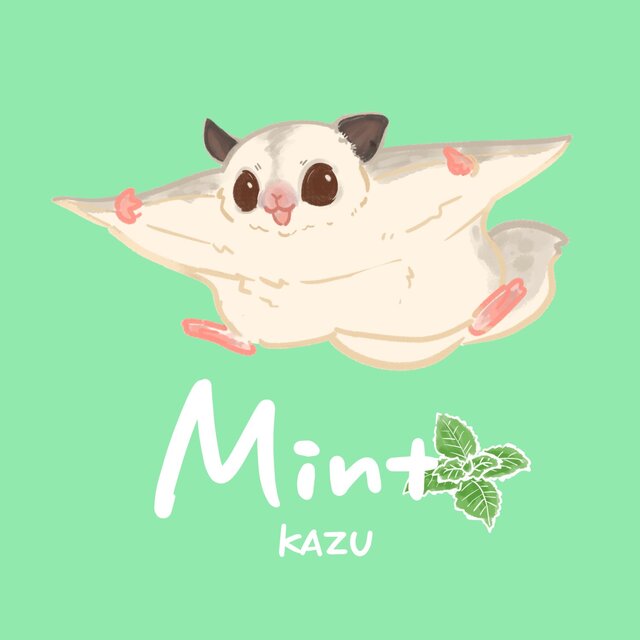 Mint