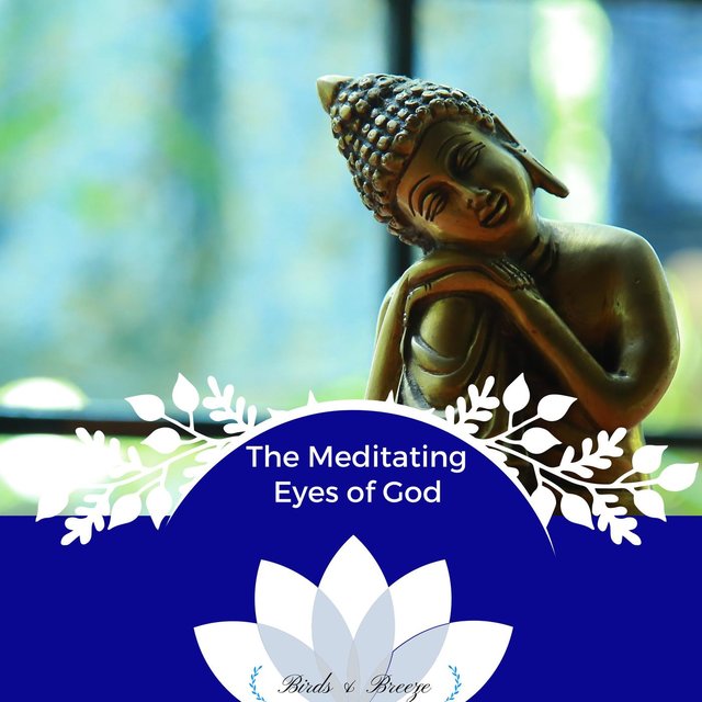 The Meditating Eyes Of God