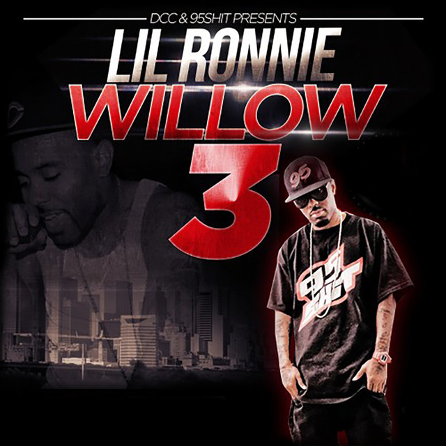 Willow 3
