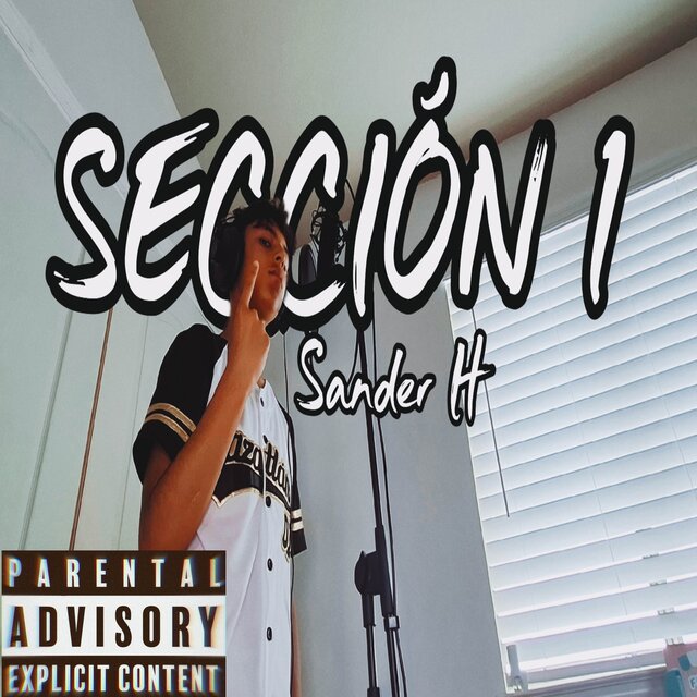 SECCIÓN 1