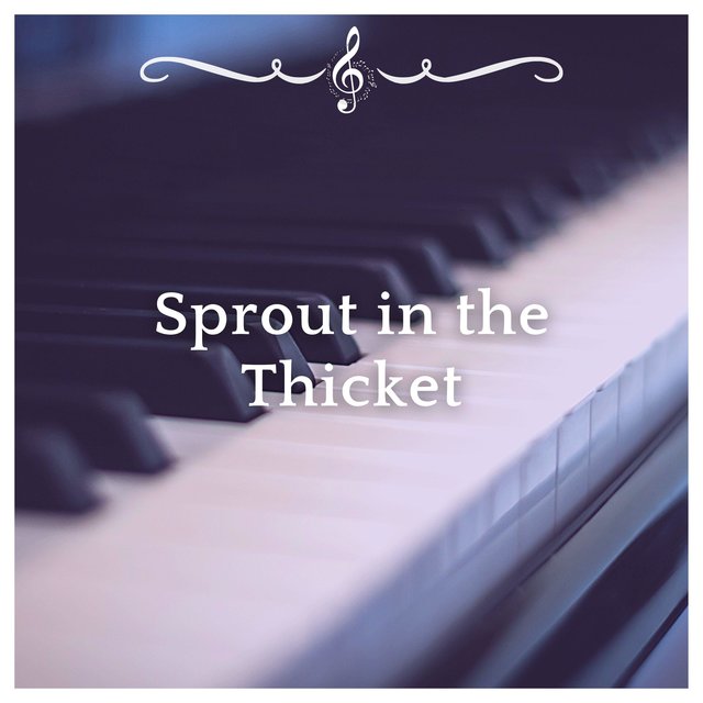 Sprout in the Thicket (Collei Demo)