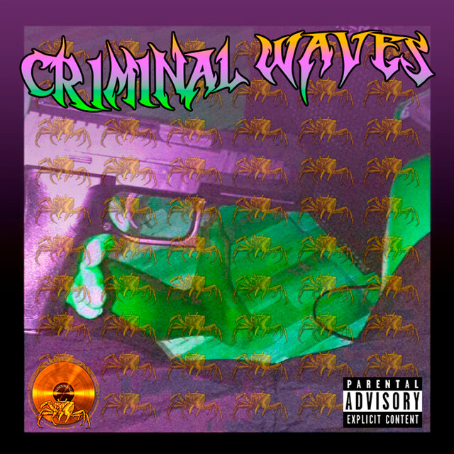 Criminal Waves
