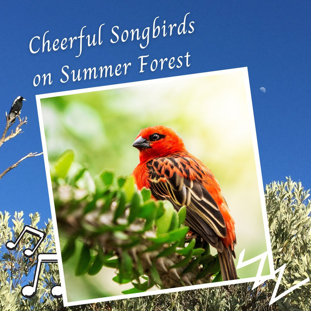 Cheerful Songbirds on Summer Forest - 2 Hours