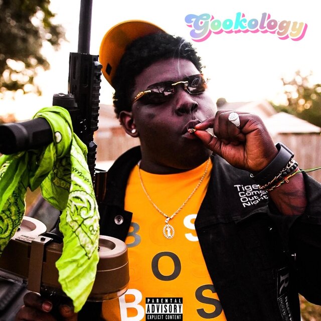 Gookology