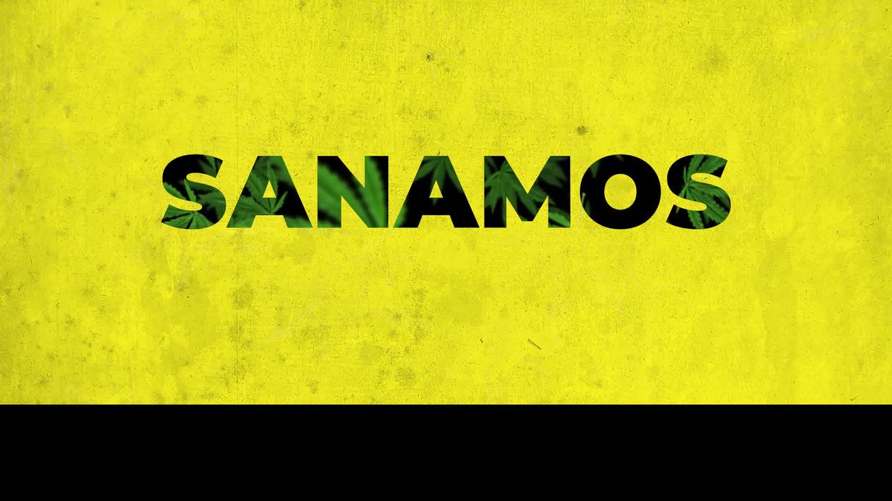 Legalización (con letra) VIDEOLETRA REGGAE OFICIAL