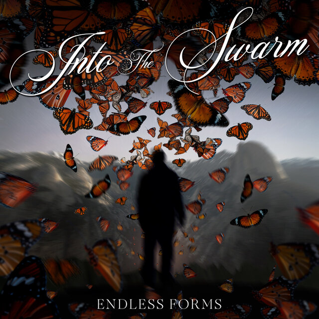 Into The Swarm