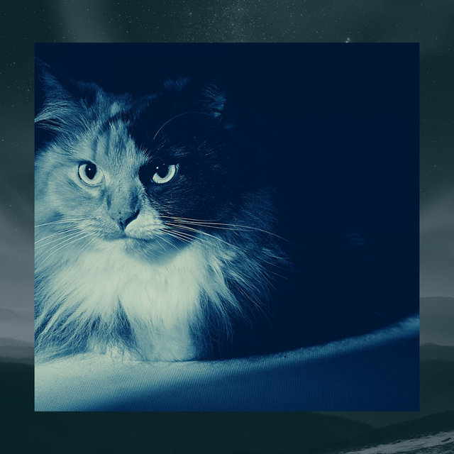 Cute Cats (Quiet)