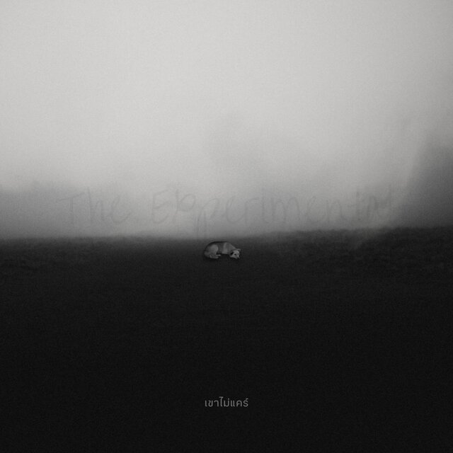 เขาไม่แคร์ (The Experimental)
