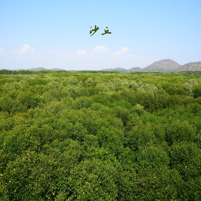 沙丘