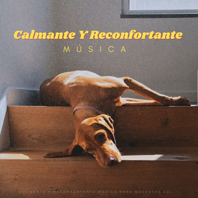 Calmante Y Reconfortante Música Para Mascotas Vol. 1