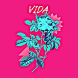 Vida