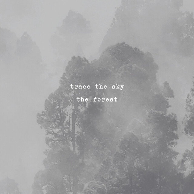 The Forest