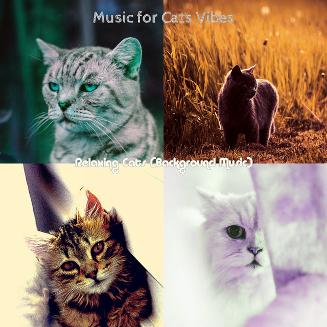 Relaxing Cats (Background Music)