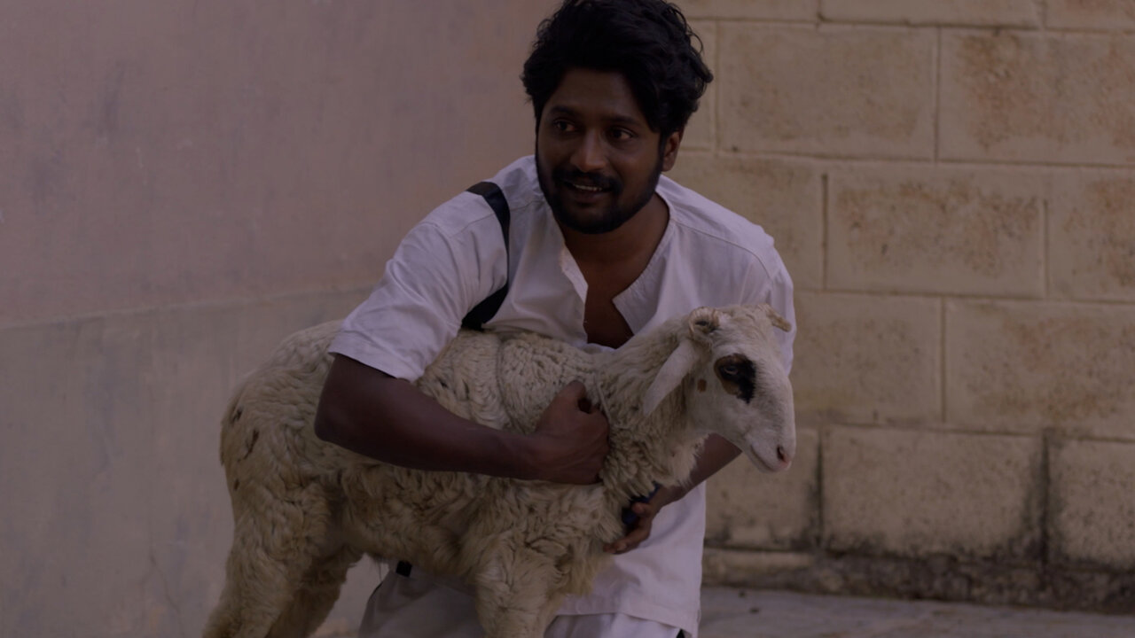 O Raare Raare Sayyare (Lyric Video [From "Gorre Puranam"])