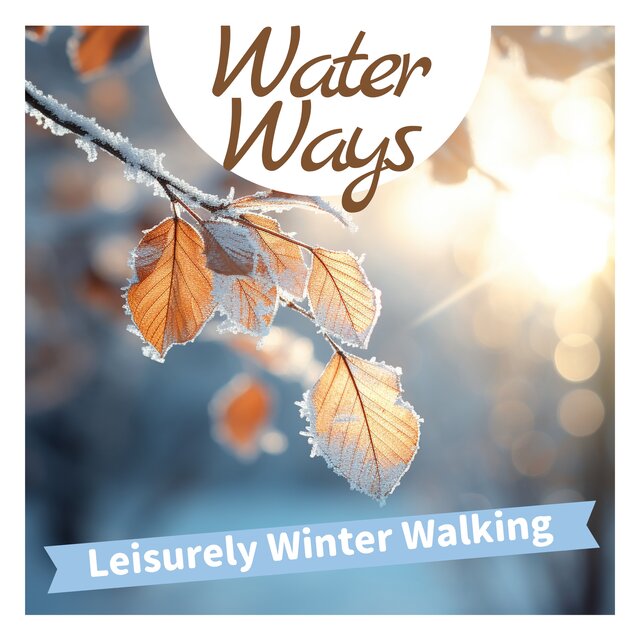 Leisurely Winter Walking 