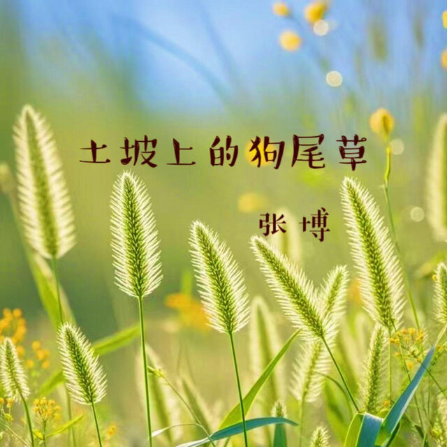 土坡上的狗尾草 (民谣版)