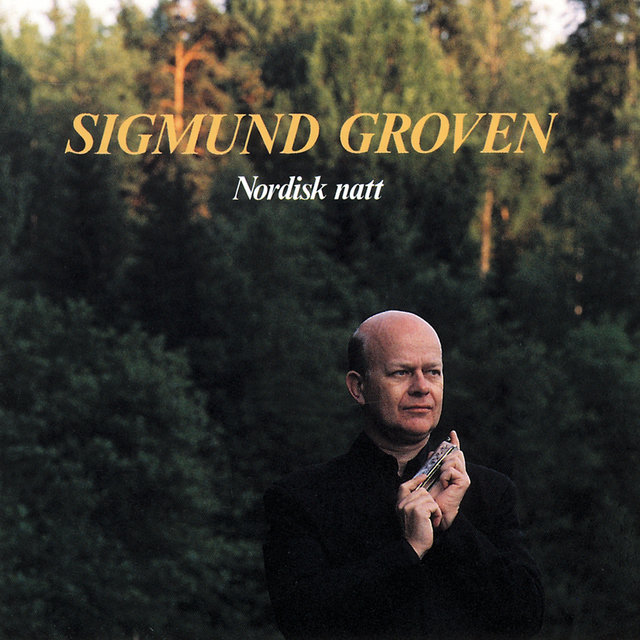 Nordisk natt