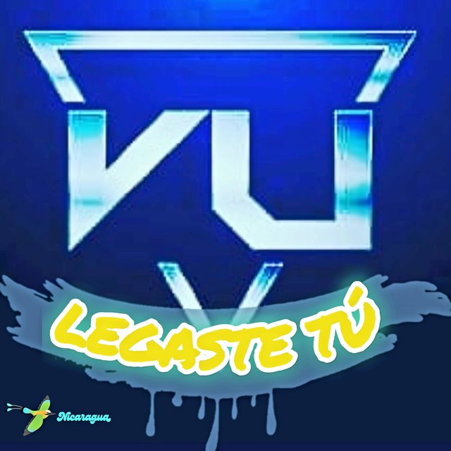 Llegaste Tu