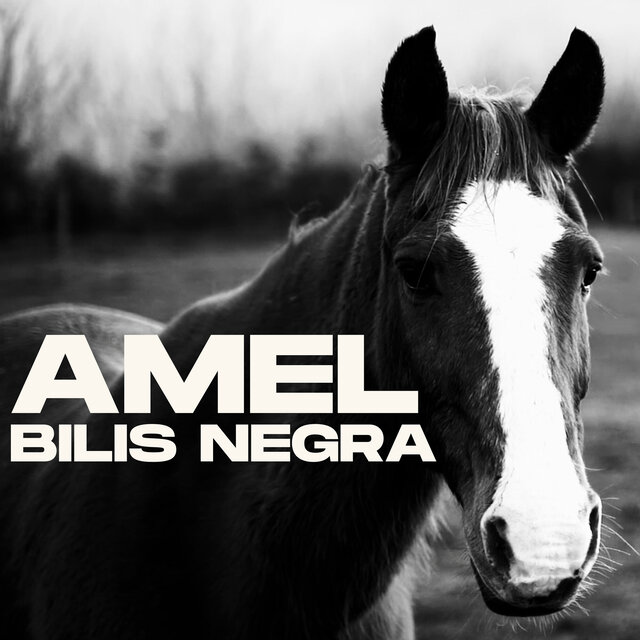 Bilis Negra