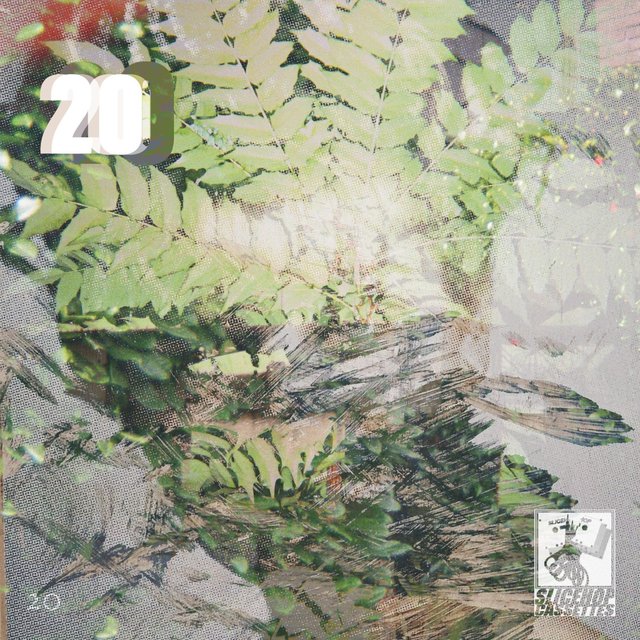 20