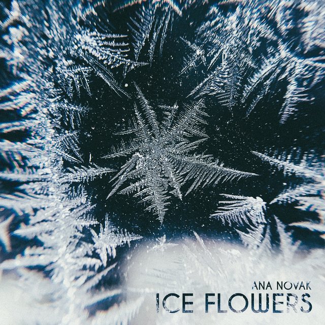 Ice Flowers