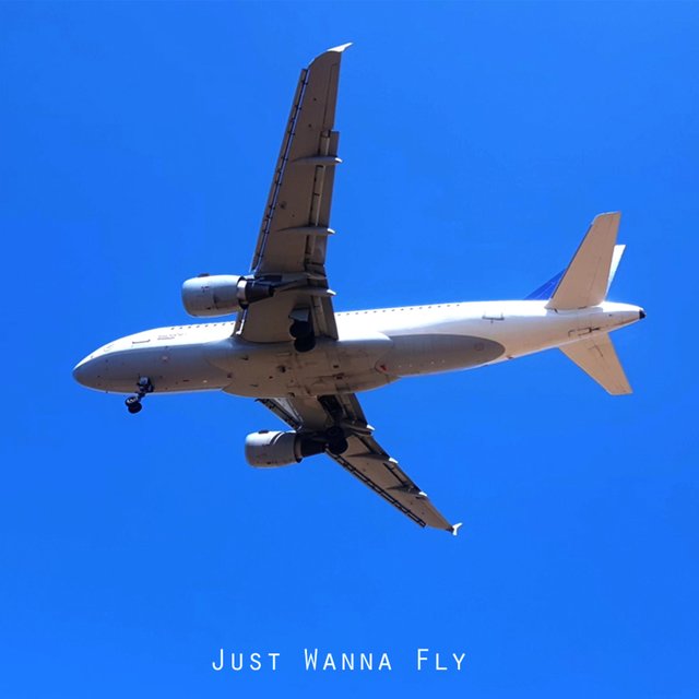 Just Wanna Fly