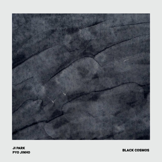 Black Cosmos