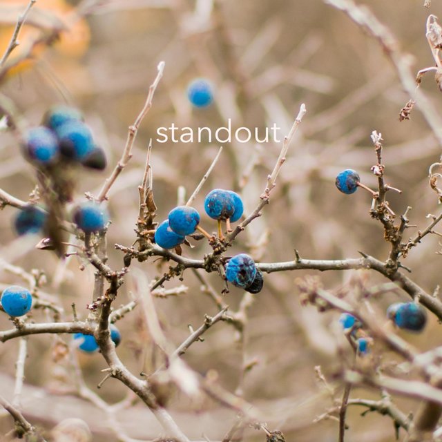 Standout