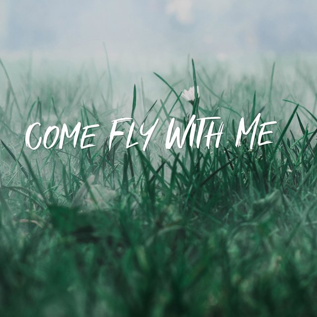 Come Fly With Me