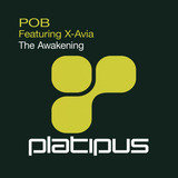 The Awakening (Flash Bang Remix)