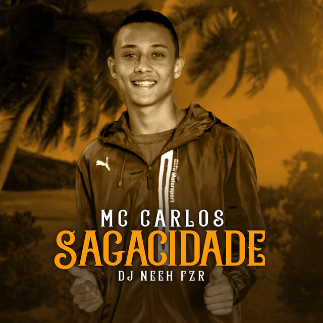 Sagacidade
