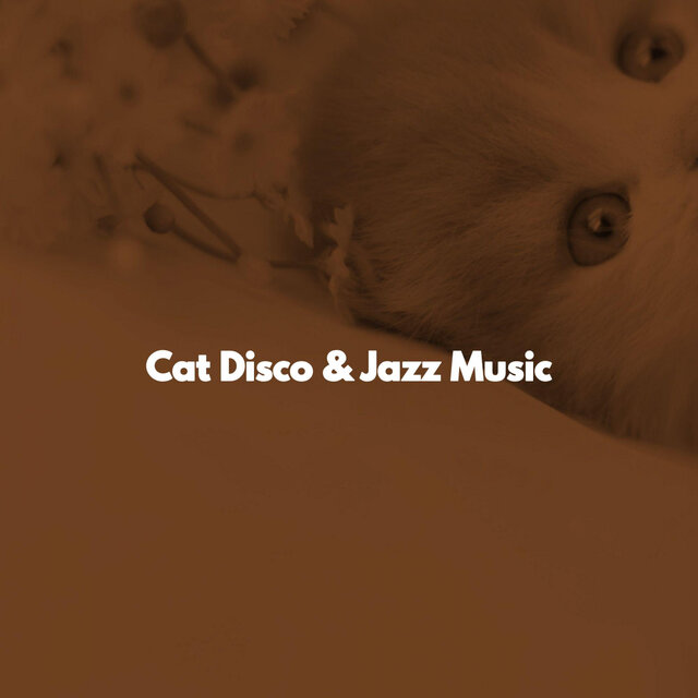 Cat Disco & Jazz Music