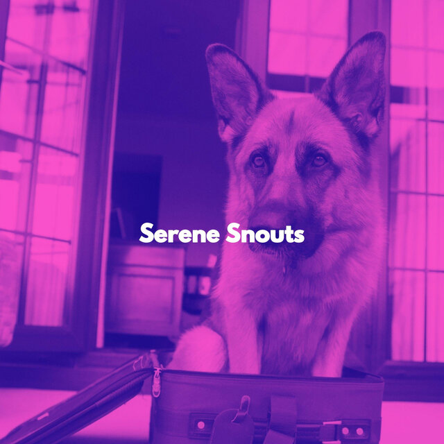 Serene Snouts