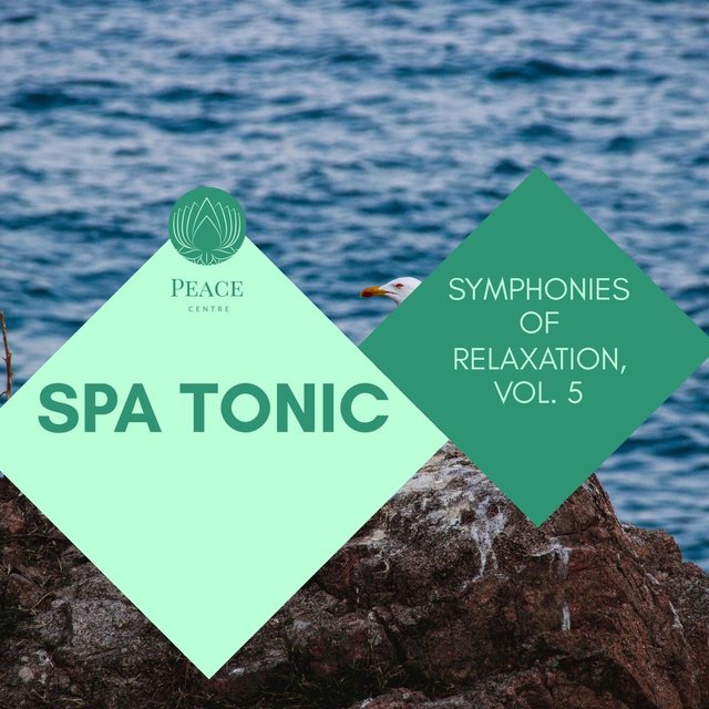Spa Tonic - Symphonies Of Relaxation, Vol. 5