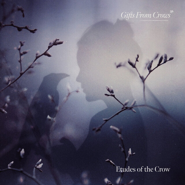Etudes of the Crow