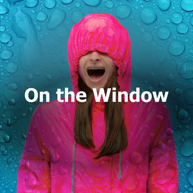 On the Window