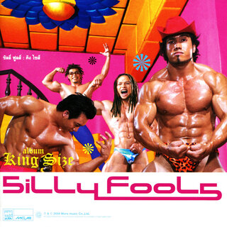 Silly Fools - TIDAL