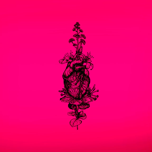Bossa-Nova